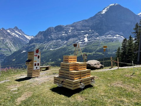 Öpfelchüechliweg in Grindelwald von Holenstein nach Brandegg.