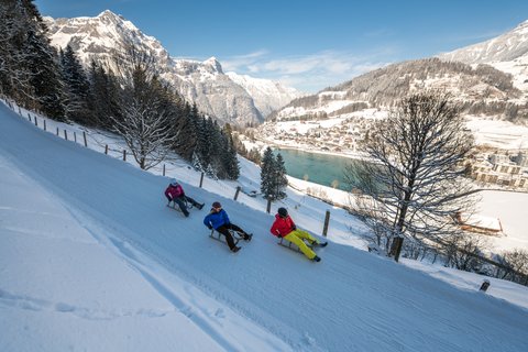 Schlitteln im Gebiet Engelberg Titlis Schlitteln im Gebiet Engelberg Titlis