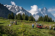 Mehrere Jugendliche helfen beim UNESCO-Welterbe Swiss Alps Jungfrau-Aletsch (SAJA) bei der Landschaftspflege mit. Im Hintergrund ist die grossartige Kulisse der Eigernordwand zu sehen. 