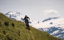 Eine junge Frau fährt mit dem Bike einen grünen Hügel hinunter. Sie trägt einen Helm und weitere Schutzausrüstung. Im Hintergrund sieht man schneebedeckte Berge.