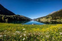 Aussicht über Davos
